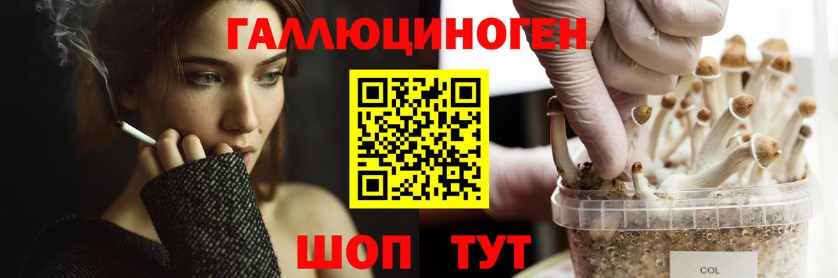 Псилоцибиновые грибы MAGIC MUSHROOMS Майский
